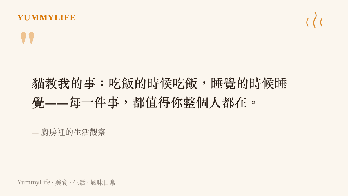 一句來自廚房觀察的生活短語：貓教我的事，喫飯時喫飯睡覺時睡覺，每件事都值得你整個人都在