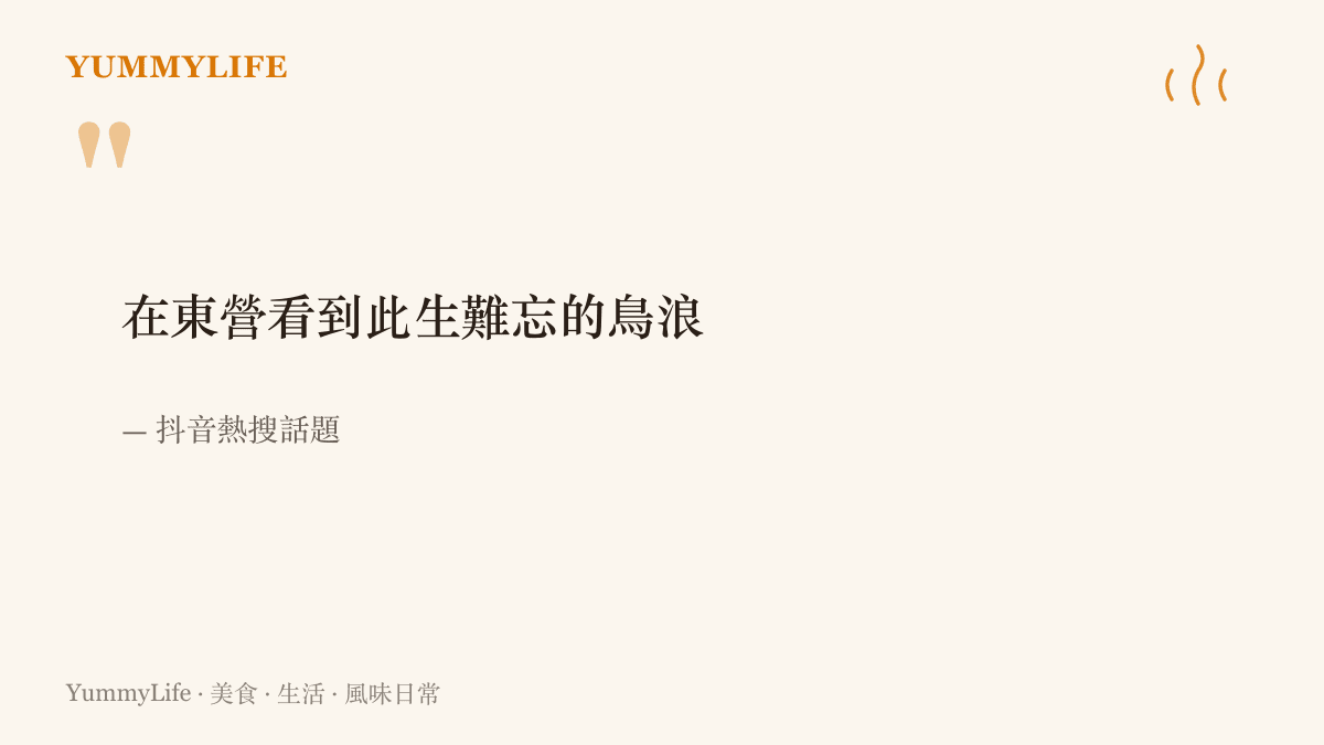 這張圖引錄抖音熱搜話題「在東營看到此生難忘的鳥浪」原文，話題源自黃河入海口成千上萬候鳥集體飛行如浪的影片