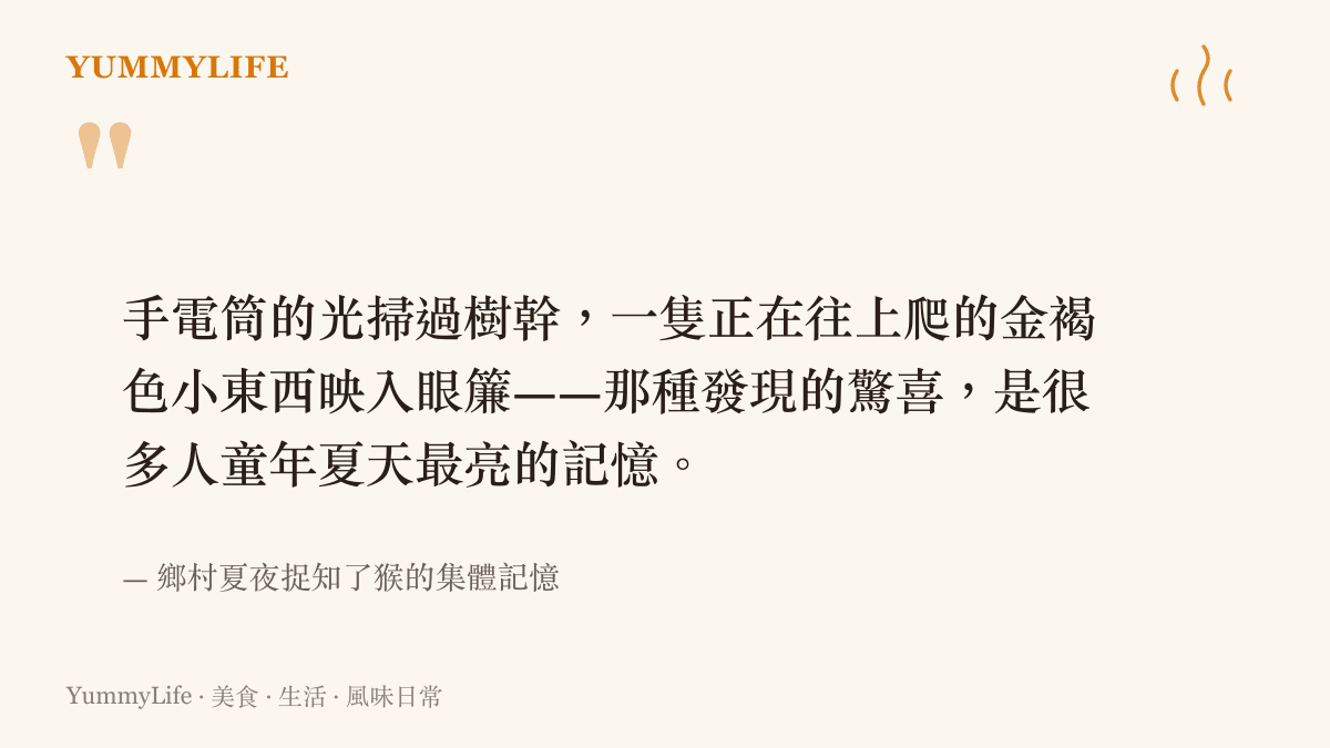 夏夜提著手電筒在樹林裡捉知了猴的童年記憶畫面