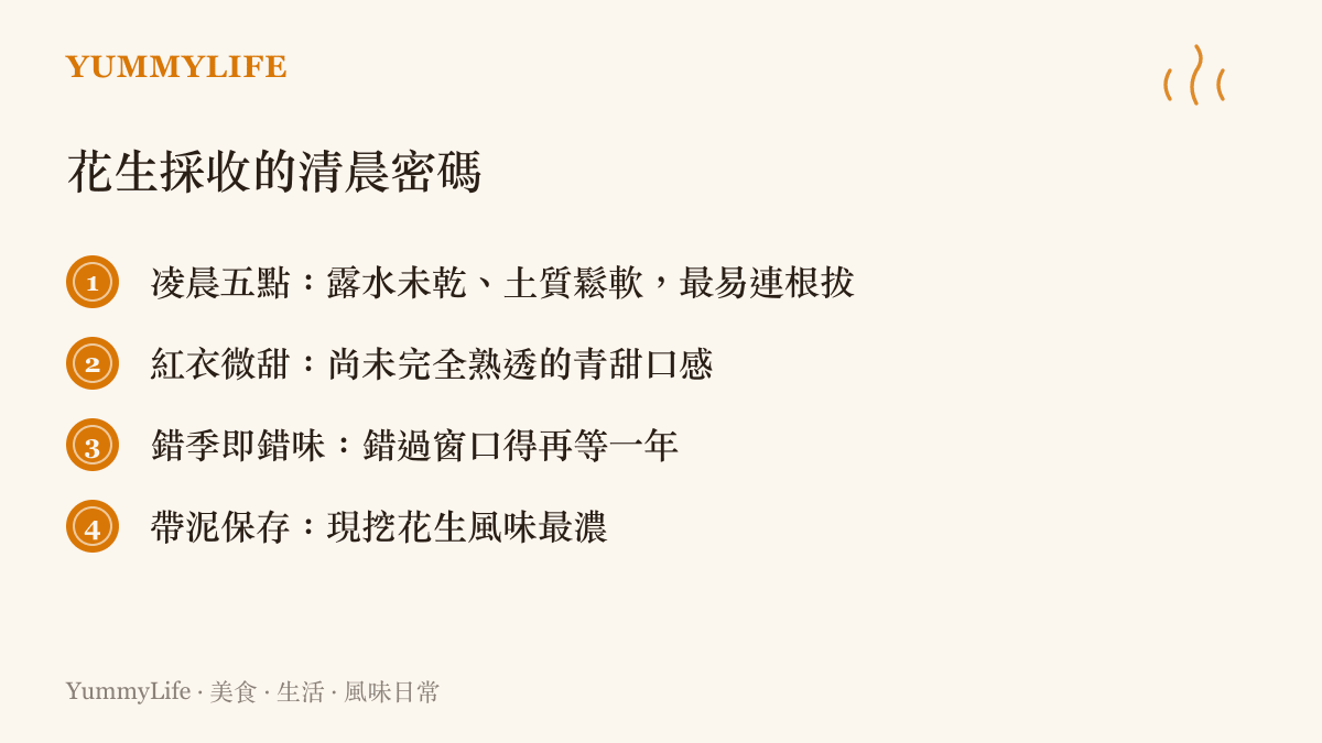 一張說明花生清晨採收為何風味特別的清單圖卡，列出露水、紅衣、錯季即錯味等關鍵事實