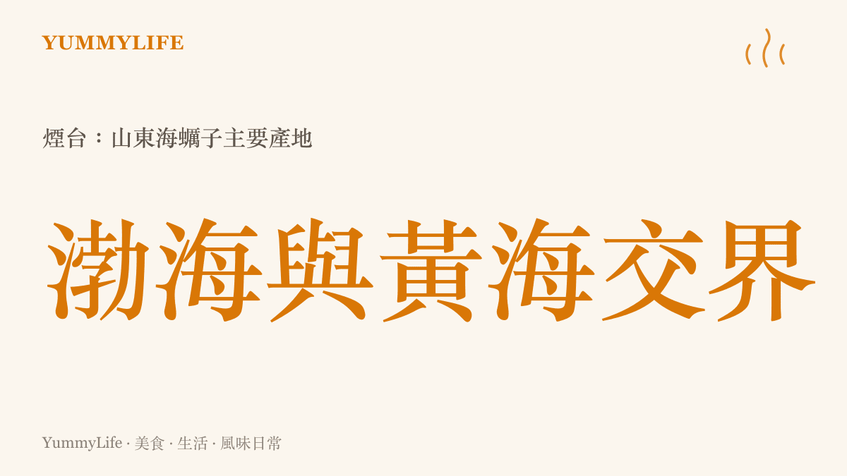 煙臺位於渤海與黃海交界，是山東海蠣子主要產地的示意圖卡